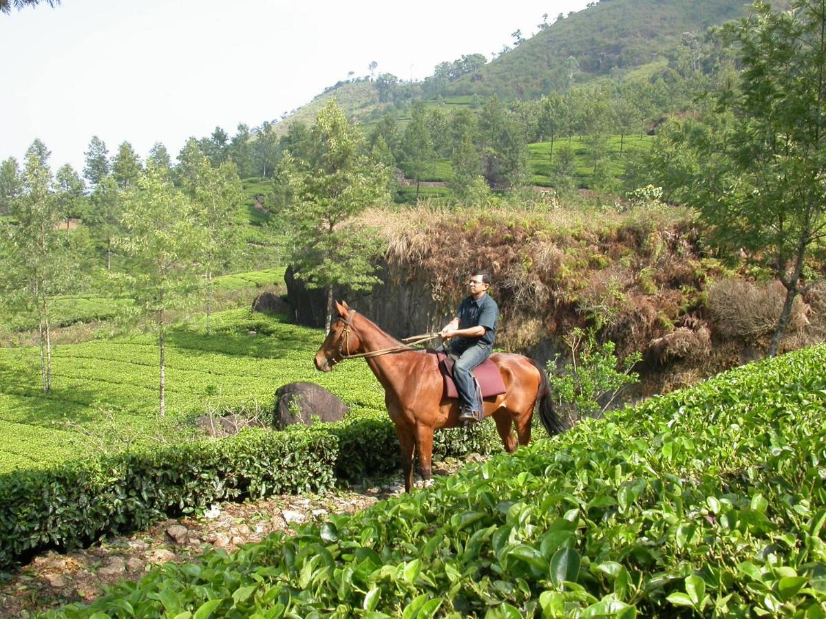 Appartement Mistica Munnar à Anachal Extérieur photo