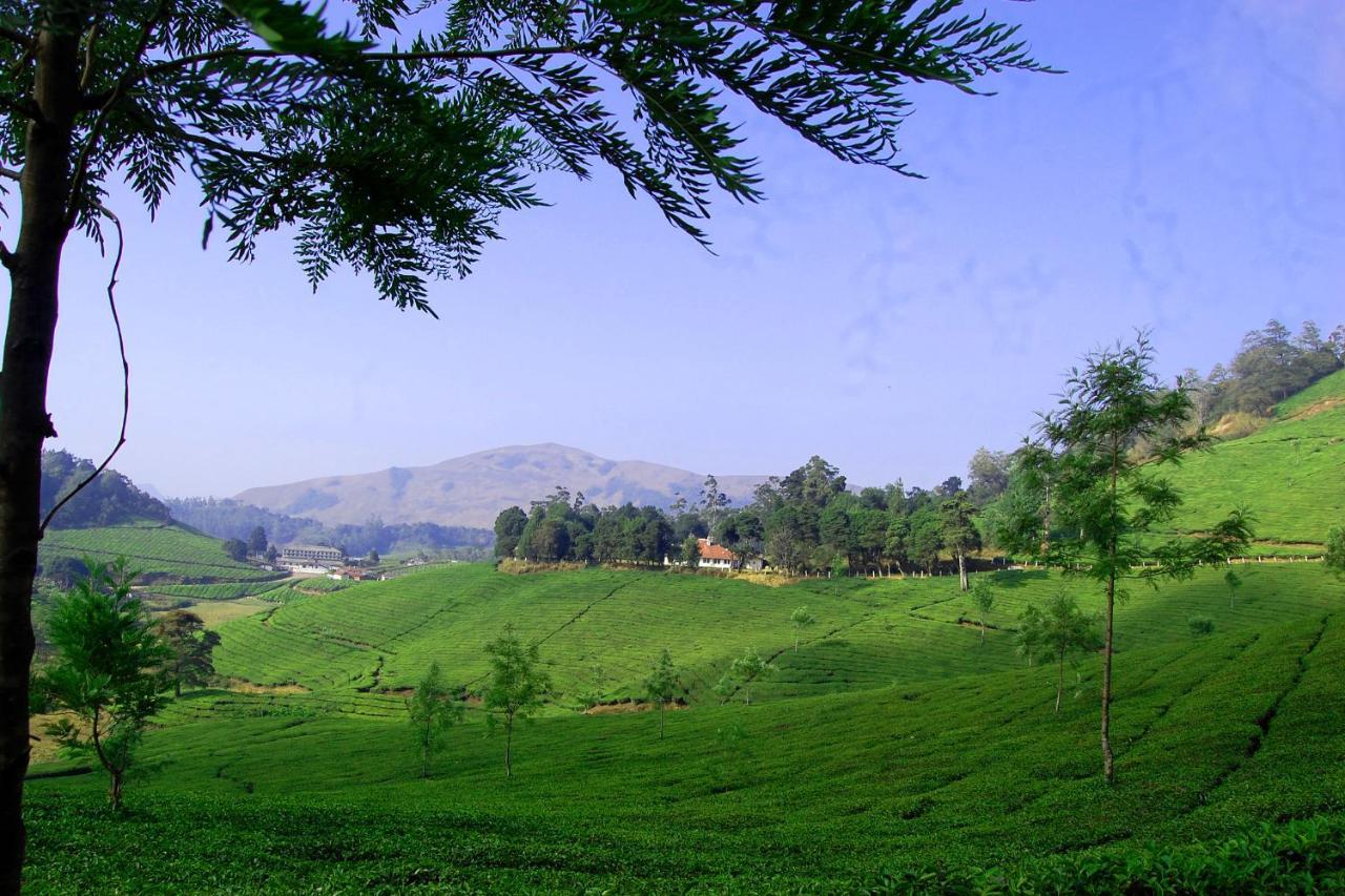 Appartement Mistica Munnar à Anachal Extérieur photo