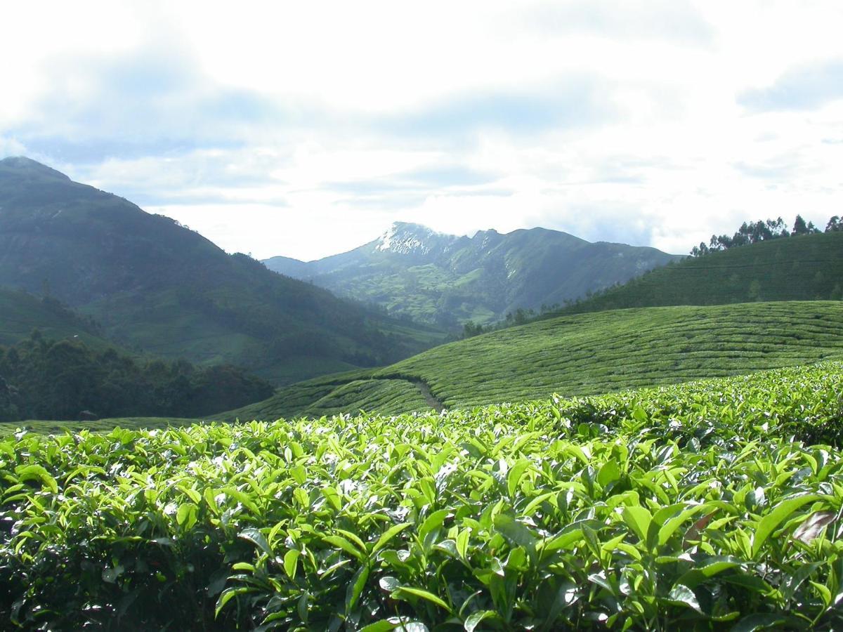 Appartement Mistica Munnar à Anachal Extérieur photo