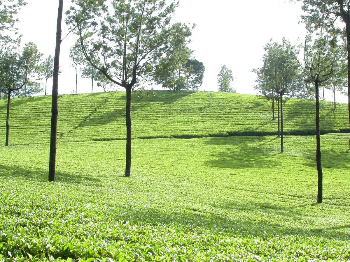 Appartement Mistica Munnar à Anachal Extérieur photo