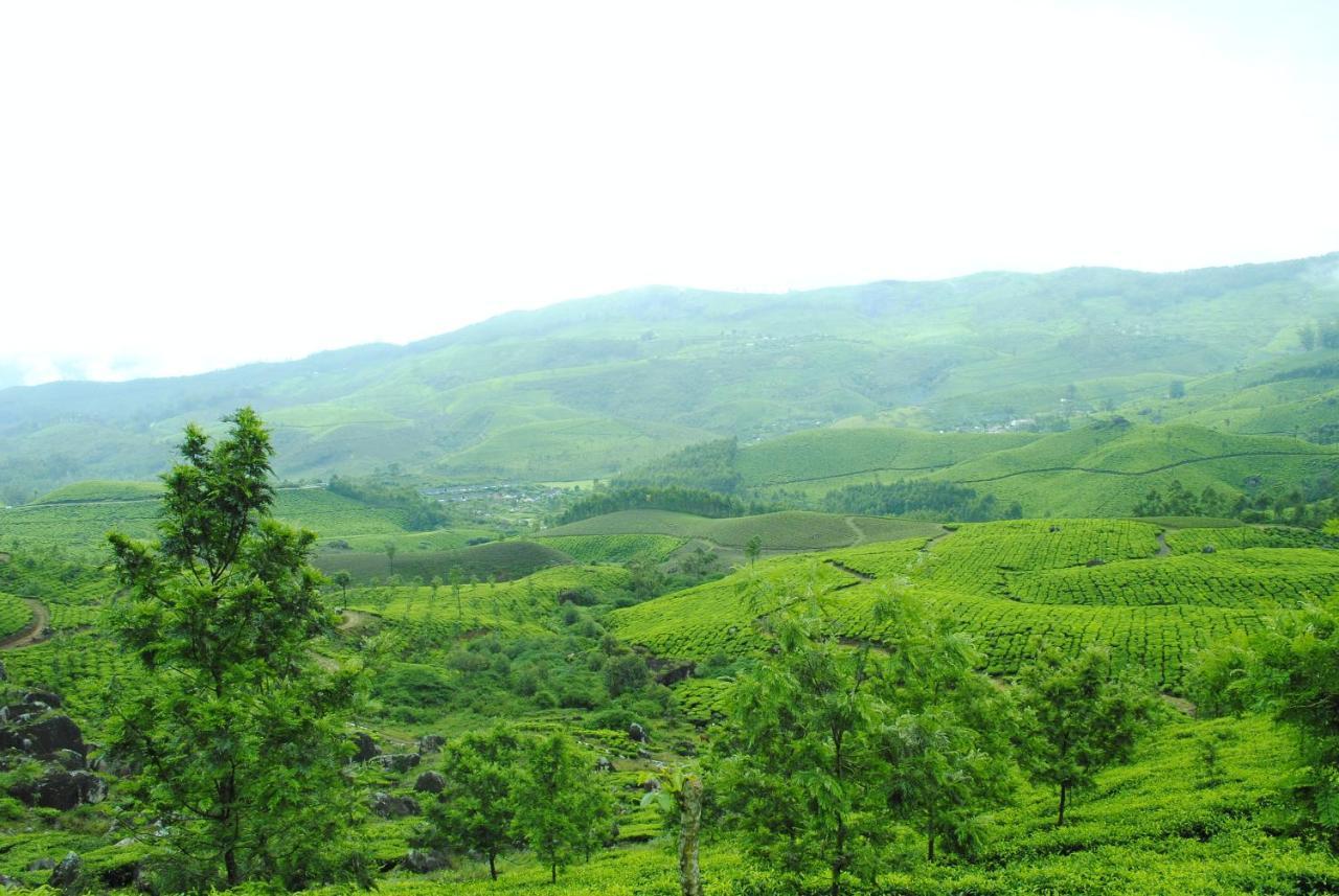 Appartement Mistica Munnar à Anachal Extérieur photo