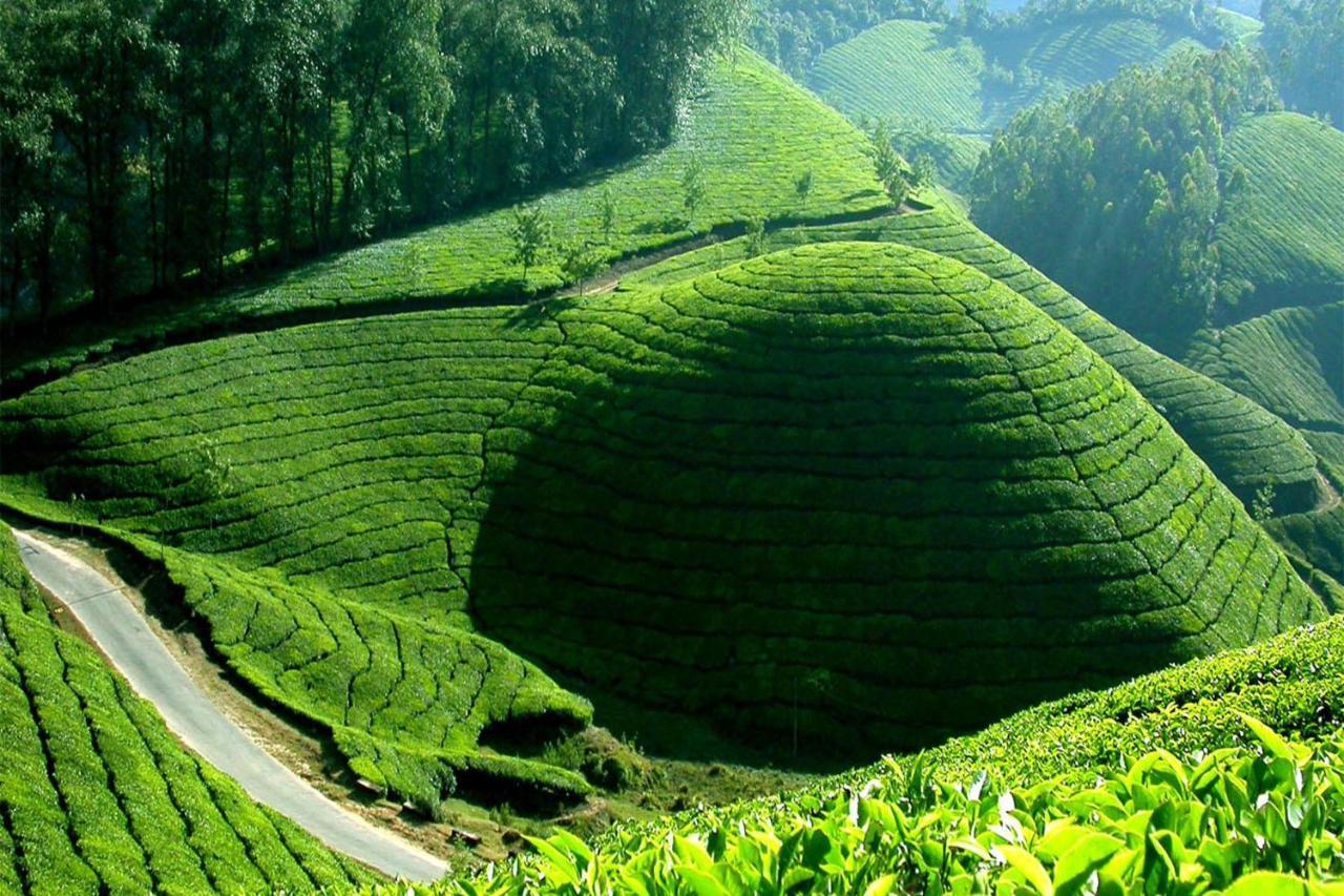 Appartement Mistica Munnar à Anachal Extérieur photo