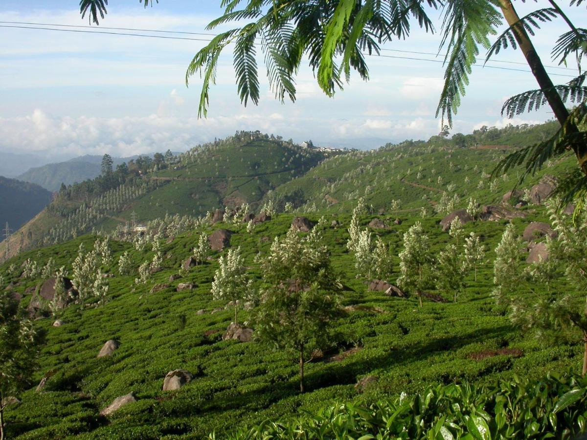 Appartement Mistica Munnar à Anachal Extérieur photo