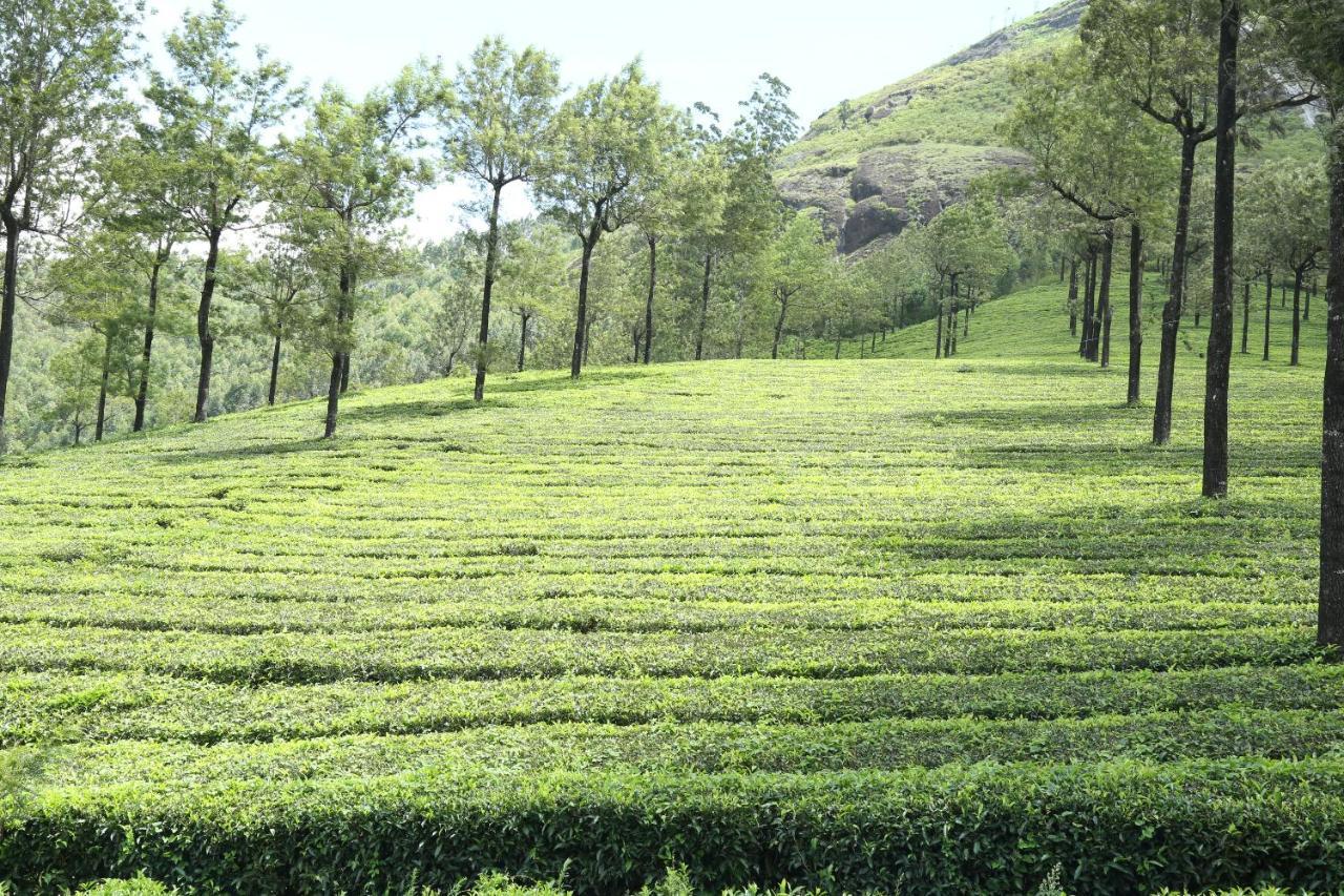 Appartement Mistica Munnar à Anachal Extérieur photo