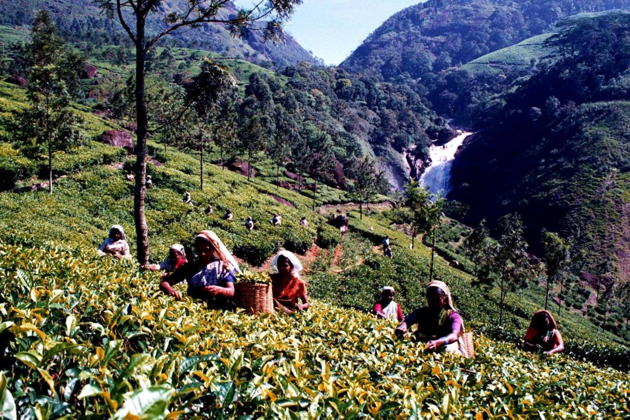 Appartement Mistica Munnar à Anachal Extérieur photo